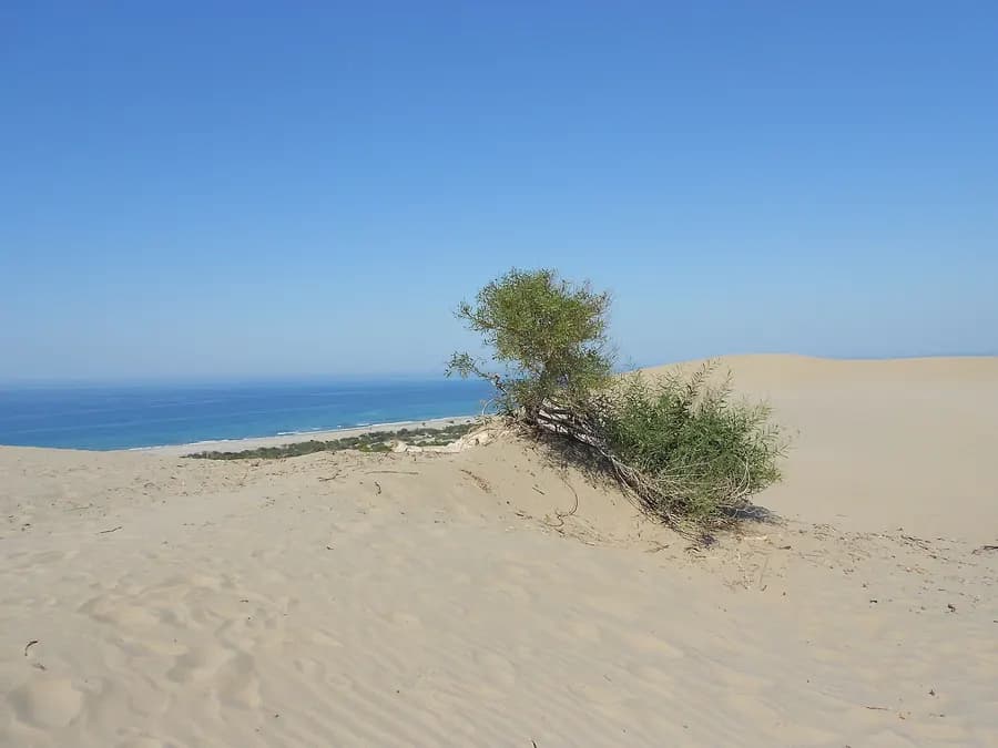 Patara Beach