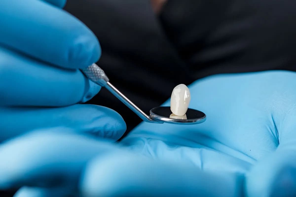 Alba Dental Care — photo from their Google listing