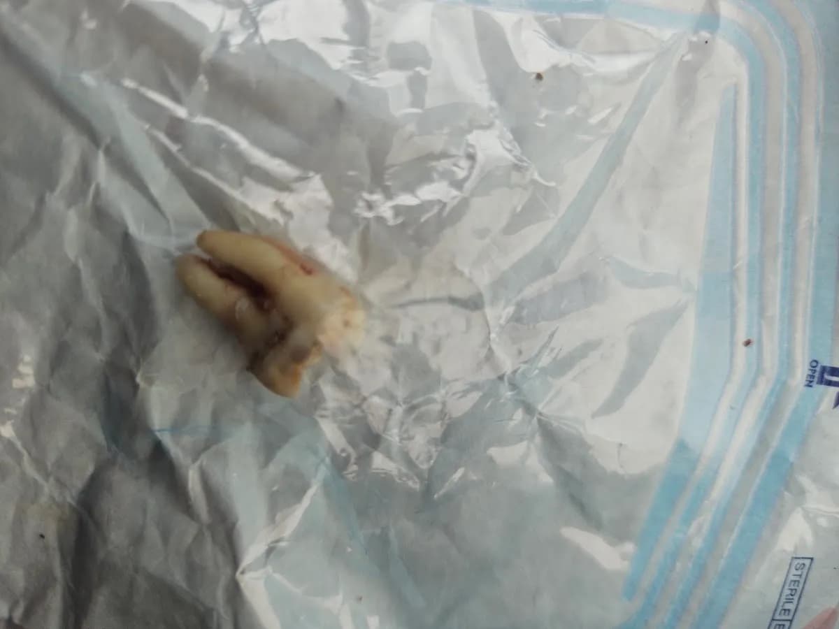 Foxhall Dental Practice — photo from their Google listing