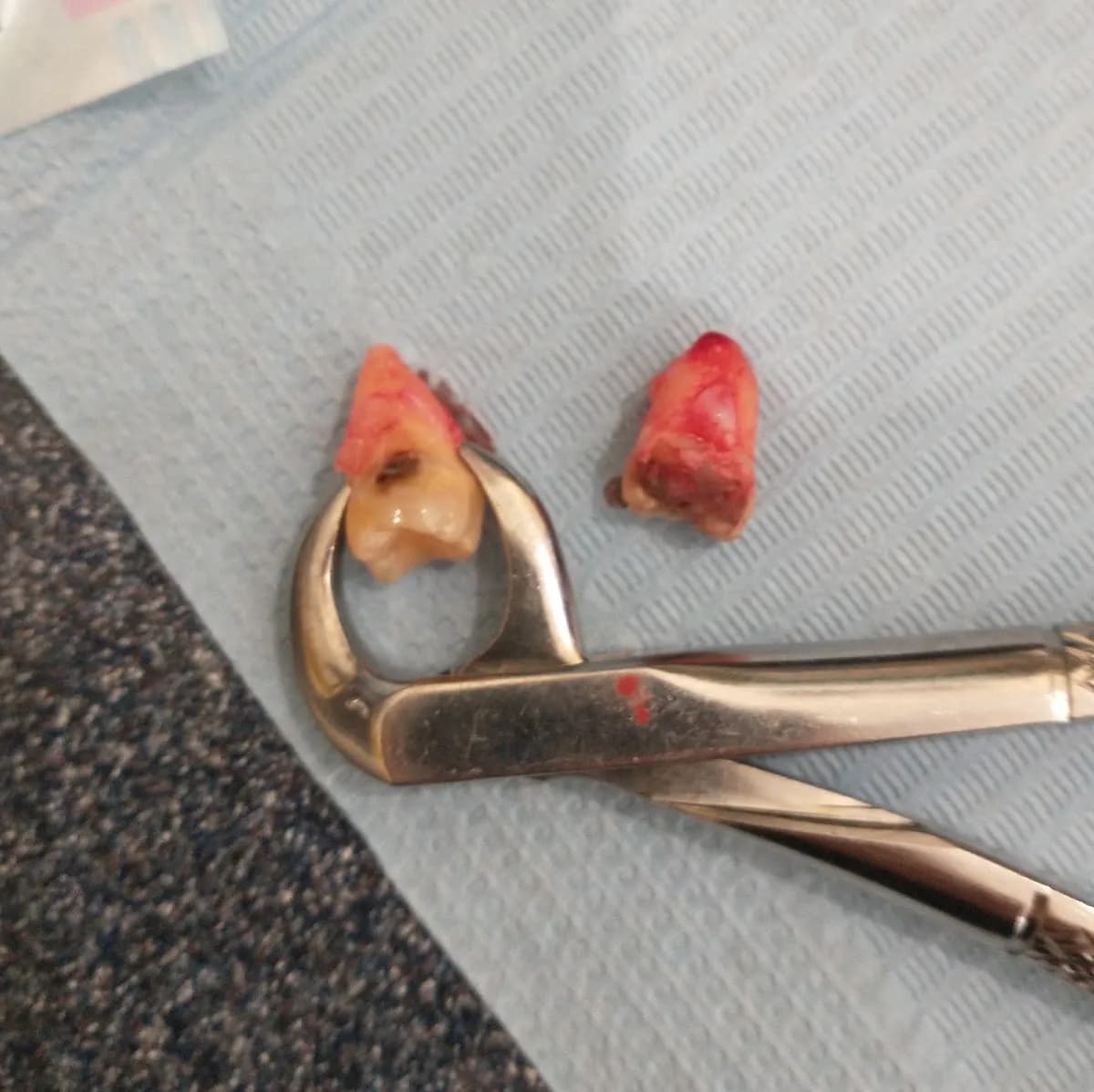 Imperial Dental Group - High Street — photo from their Google listing
