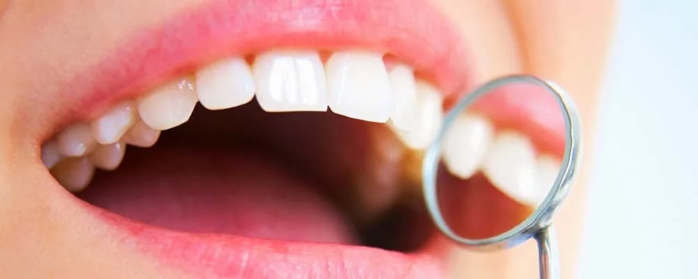 Maple Dental — photo from their Google listing