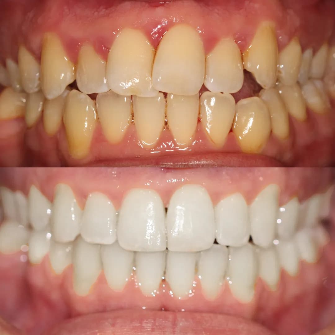 Pro Dental Clinic — photo from their Google listing
