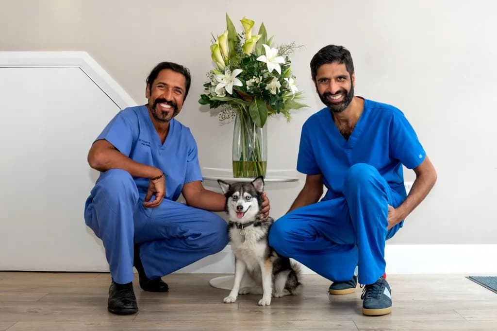 Pure Smiles Dental Surgery — photo from their Google listing