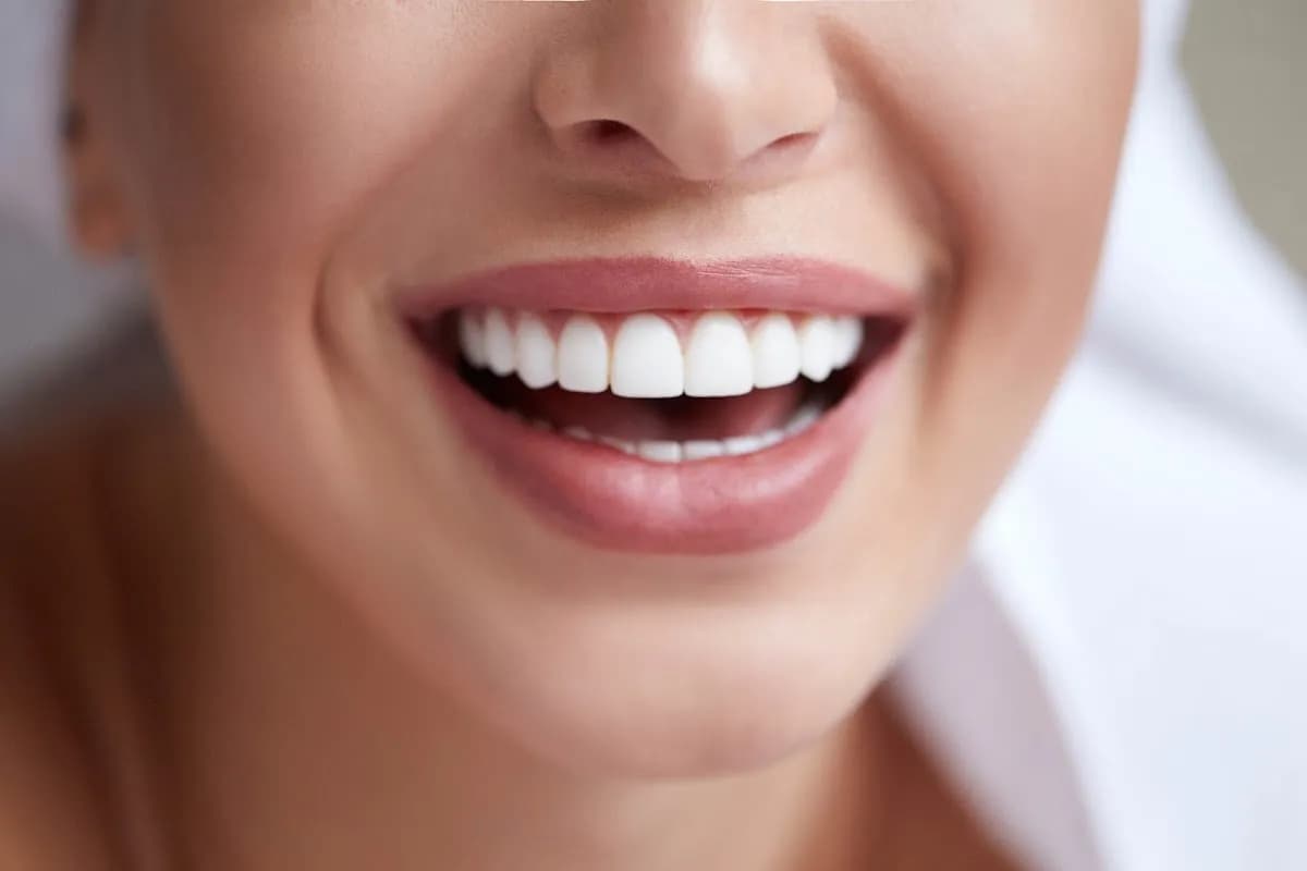 Wild Smiles Dental Practice — photo from their Google listing