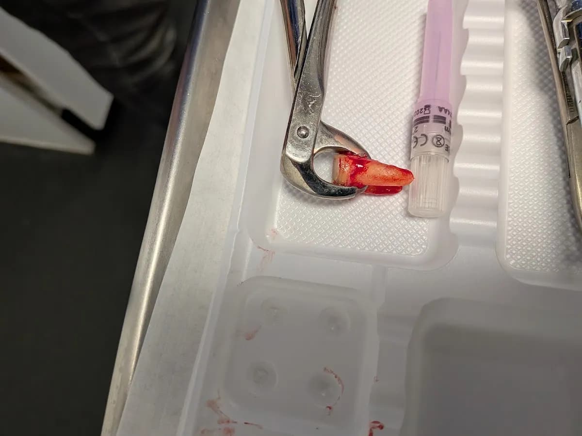 Windsor Road Dental Practice - Slough — photo from their Google listing