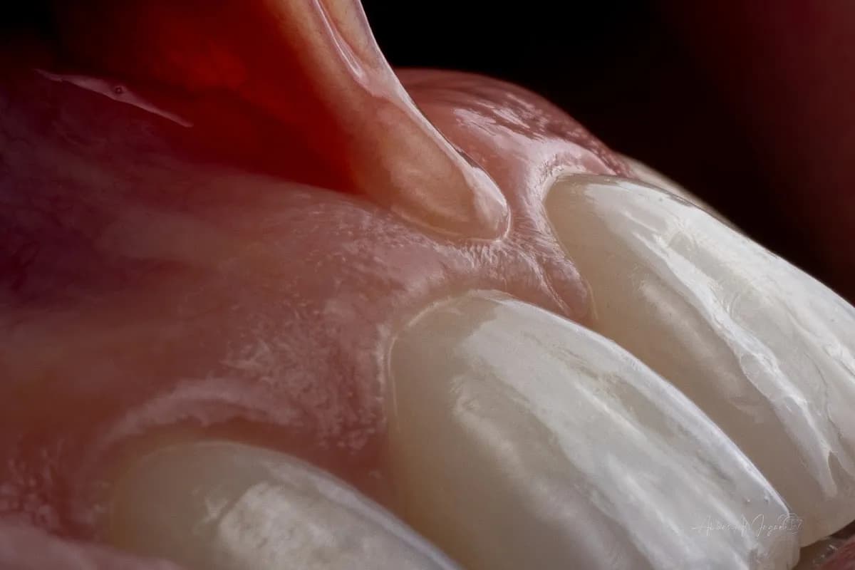 Clinical & Dental Photography by Abbas Ali Jagani — photo from their Google listing
